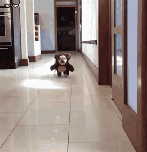 doggie style gif|Doggie GIFs .